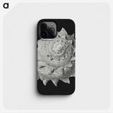 2-27_Ernst-Haeckel_phone