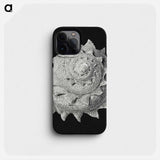 Vintage shell marine life illustration - エルンスト ヘッケル Phone Case.