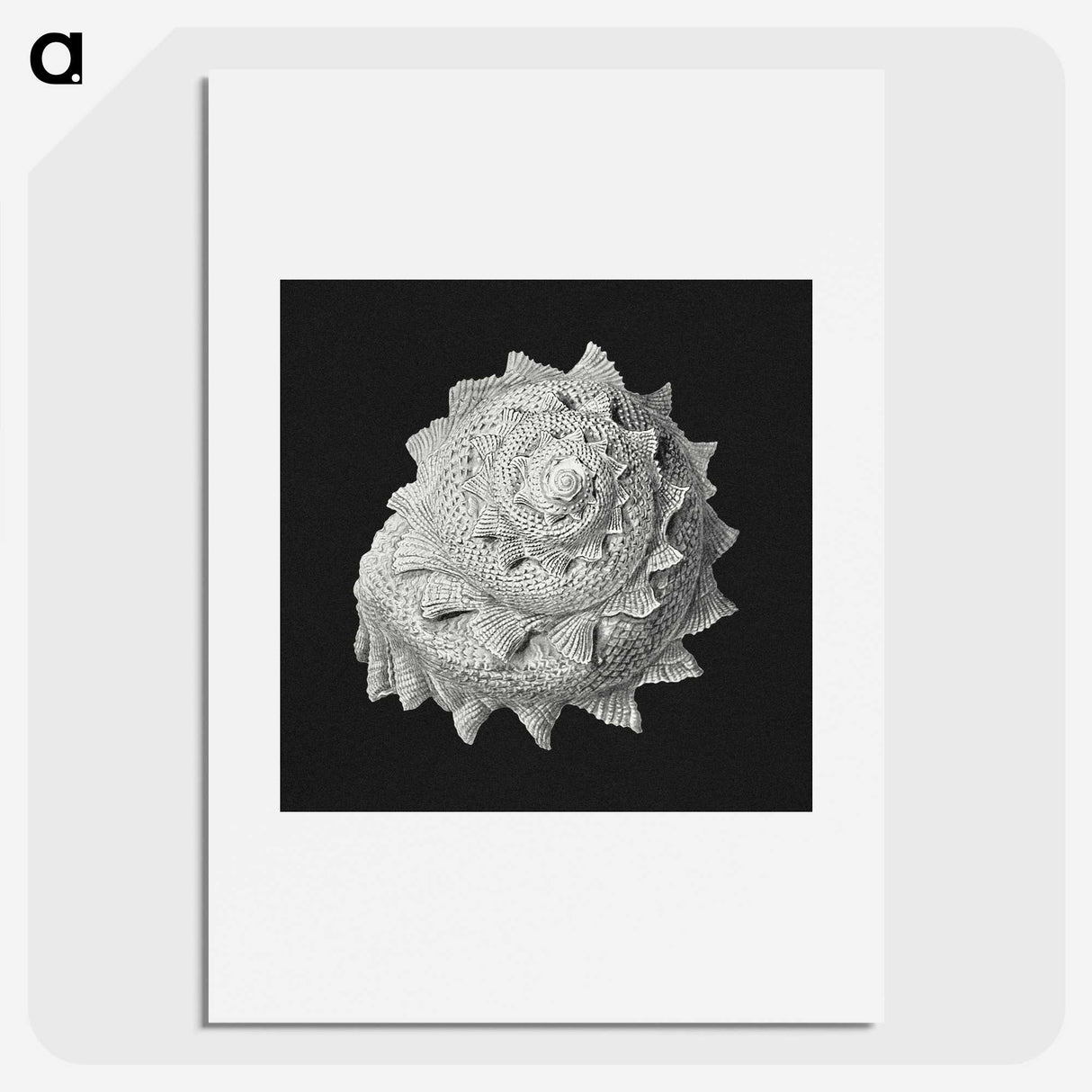 2-27_Ernst-Haeckel_picture