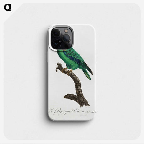 2-27_Francois-Levaillant_phone