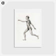 アートポストカード-Human Figure, Lateral View, Undissected
 - ジョージ スタッブス Postcard.