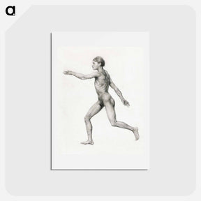 アートポストカード-Human Figure, Lateral View, Undissected
 - ジョージ スタッブス Postcard.
