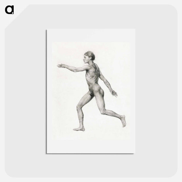 アートポストカード-Human Figure, Lateral View, Undissected
 - ジョージ スタッブス Postcard.