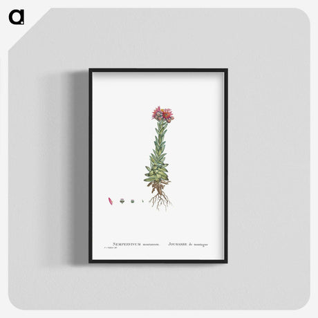 2-27_Histoire-des-Plantes-Grasses_blk-crop