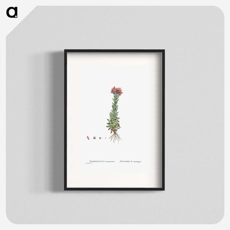 2-27_Histoire-des-Plantes-Grasses_blk