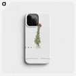 2-27_Histoire-des-Plantes-Grasses_phone