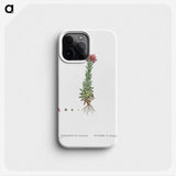 2-27_Histoire-des-Plantes-Grasses_phone