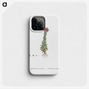 2-27_Histoire-des-Plantes-Grasses_phone