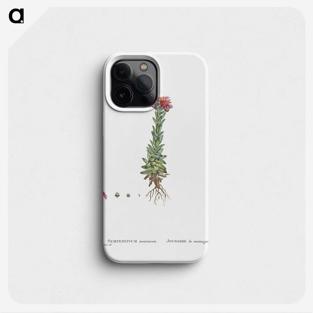 2-27_Histoire-des-Plantes-Grasses_phone