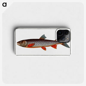2-27_Ichtyologie-ou-Histoire-naturelle_phone