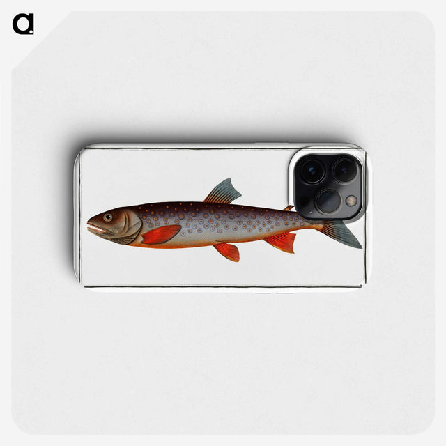 2-27_Ichtyologie-ou-Histoire-naturelle_phone