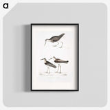 2-27_Indian-Zoology_blk
