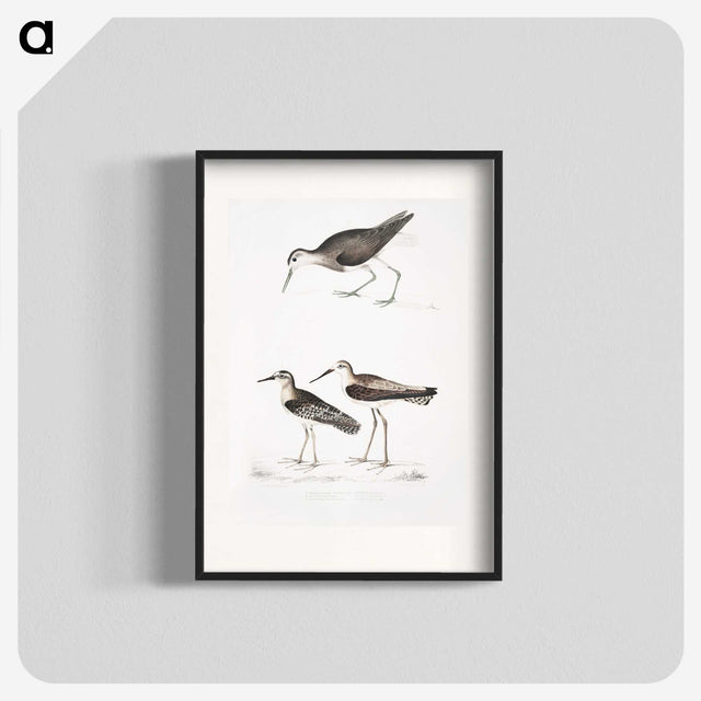 2-27_Indian-Zoology_blk
