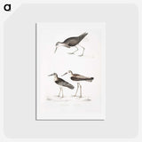 2-27_Indian-Zoology_hagaki