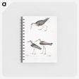 2-27_Indian-Zoology_memo