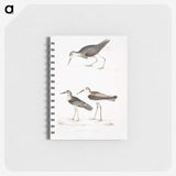 2-27_Indian-Zoology_memo