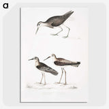 2-27_Indian-Zoology_picture-crop