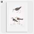 2-27_Indian-Zoology_picture