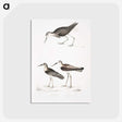 2-27_Indian-Zoology_postcard