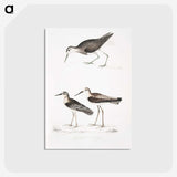 2-27_Indian-Zoology_postcard