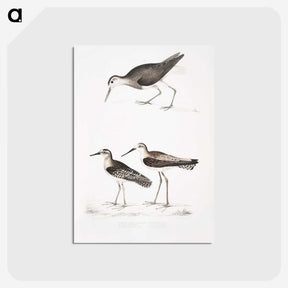 2-27_Indian-Zoology_postcard