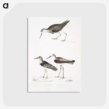 2-27_Indian-Zoology_postcard