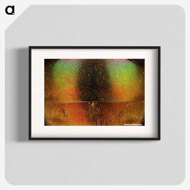 2-27_Insects-Unlocked-Project_blk