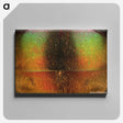 2-27_Insects-Unlocked-Project_canvas