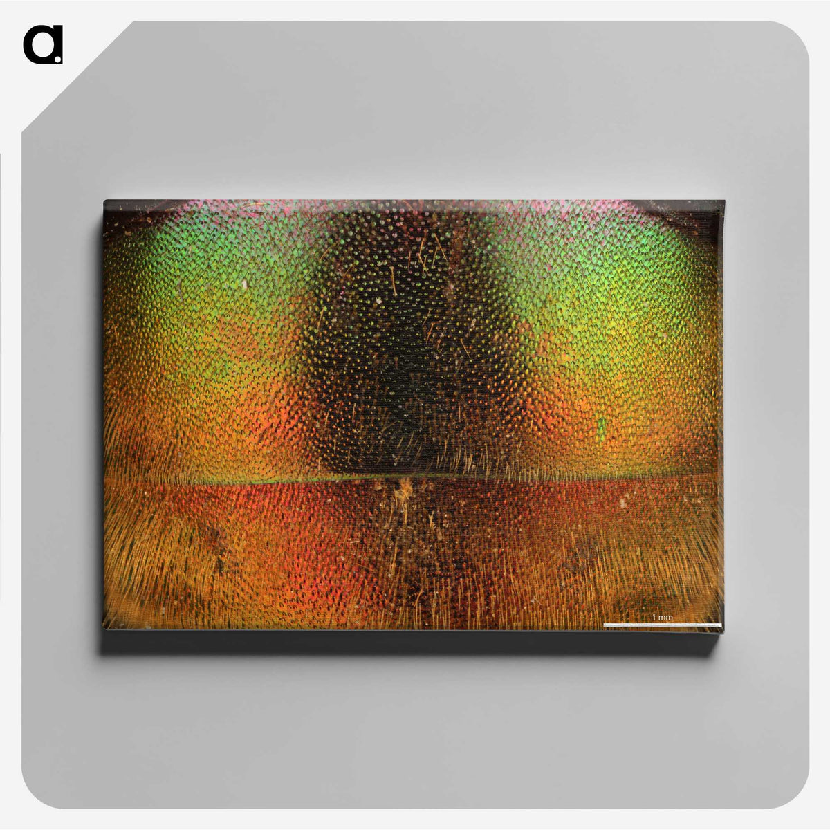 2-27_Insects-Unlocked-Project_canvas