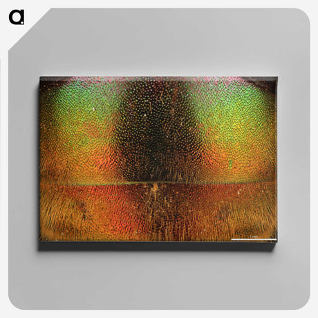 2-27_Insects-Unlocked-Project_canvas