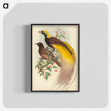 2-27_John-Gould_blk-crop