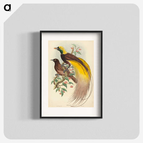 2-27_John-Gould_blk