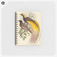 2-27_John-Gould_memo