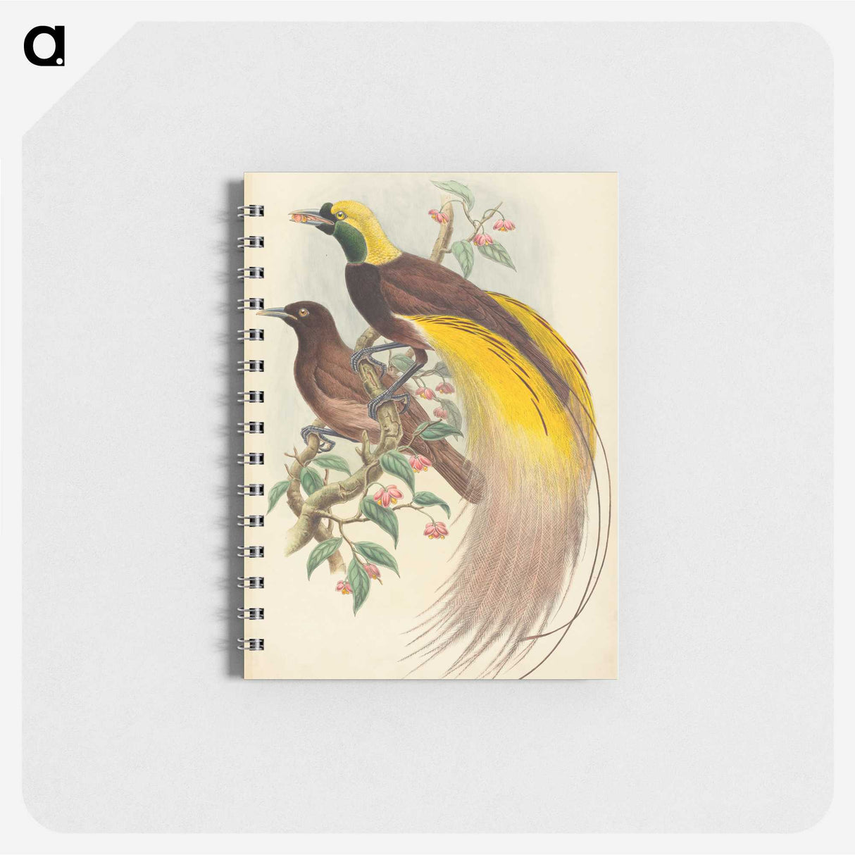 2-27_John-Gould_memo