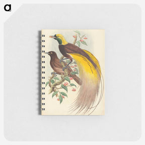 2-27_John-Gould_memo