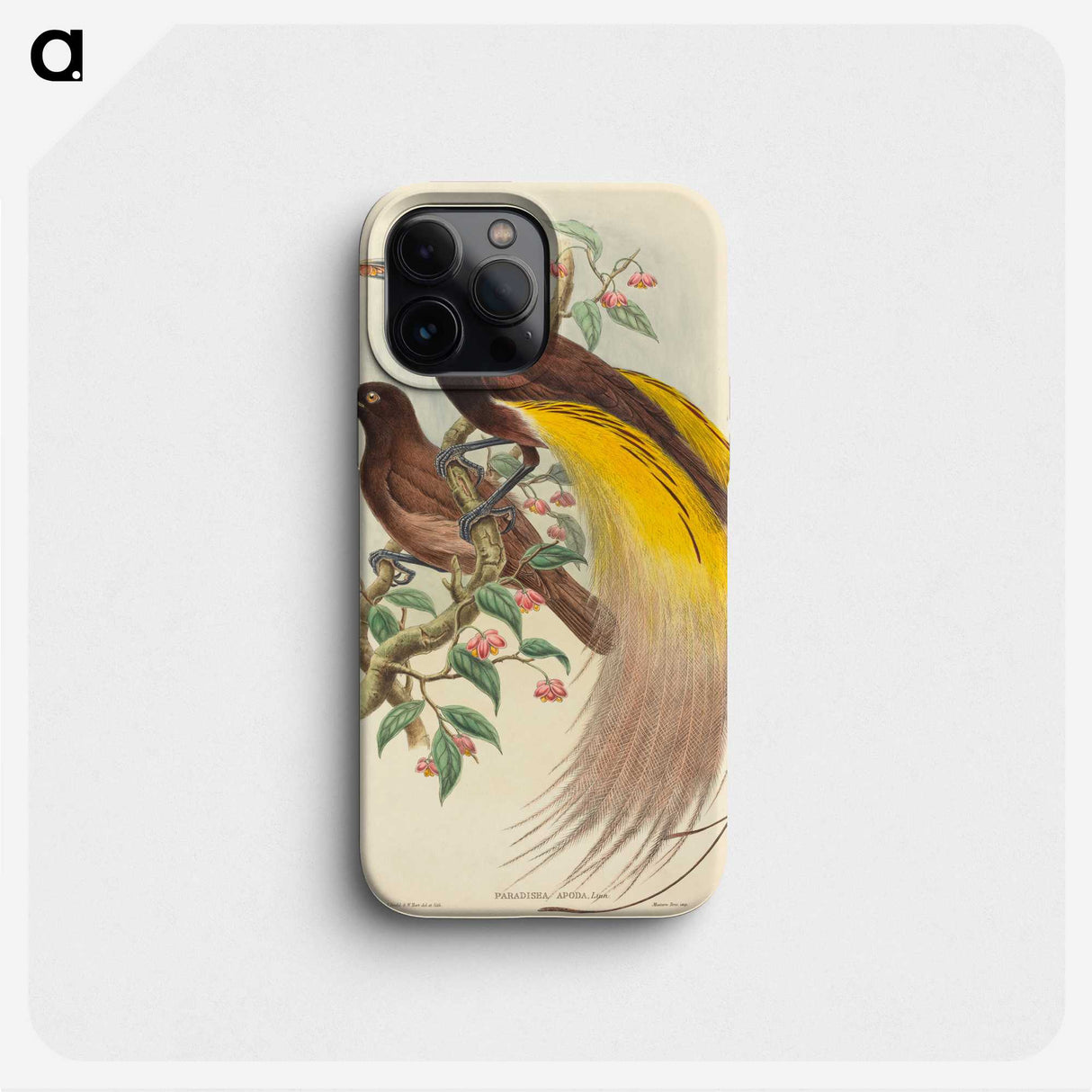 2-27_John-Gould_phone