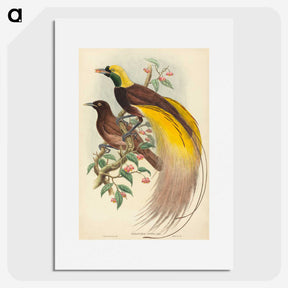 2-27_John-Gould_picture