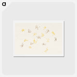 アートポストカード-Abstract butterfly - 神坂 雪佳 Postcard.