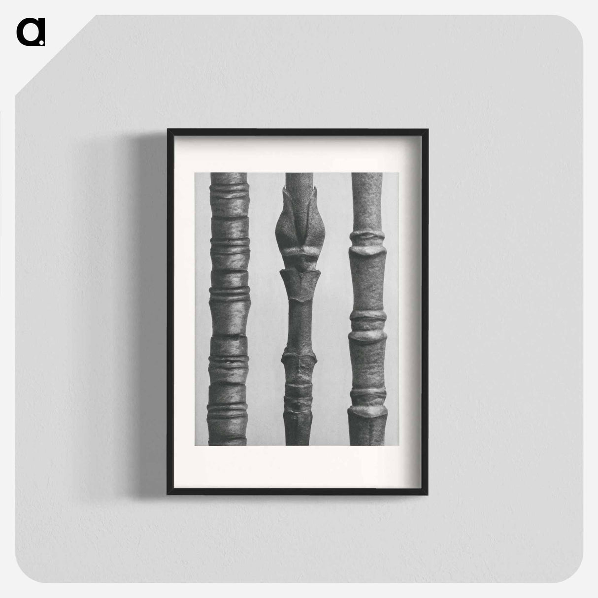 Dogwood - カール ブロスフェルト Poster.