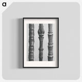 Dogwood - カール ブロスフェルト Poster.