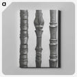 2-27_Karl-Blossfeldt_canvas