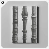 2-27_Karl-Blossfeldt_canvas