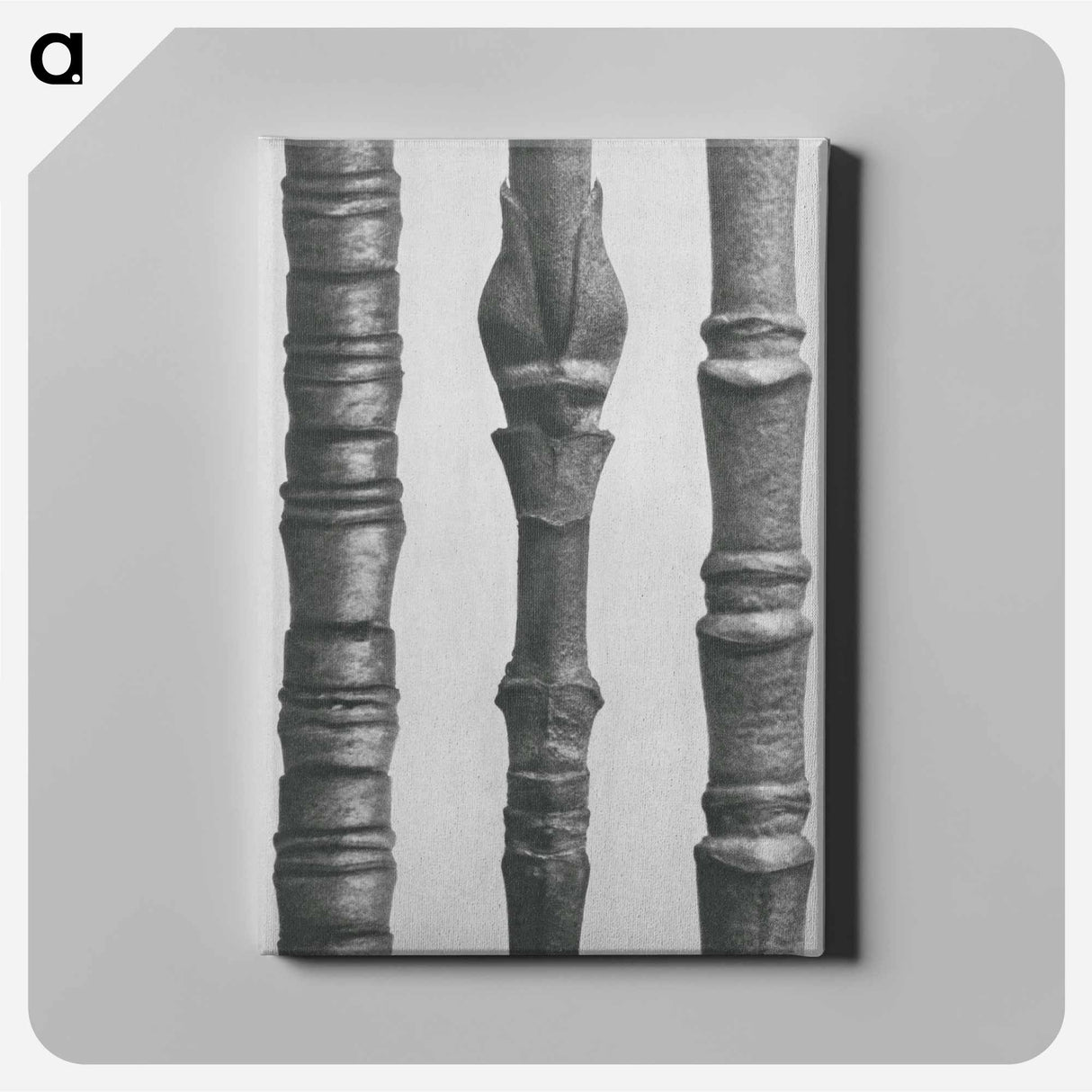 Dogwood - カール ブロスフェルト Canvas.