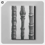 Dogwood - カール ブロスフェルト Canvas.