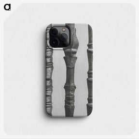 2-27_Karl-Blossfeldt_phone