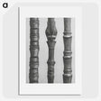 2-27_Karl-Blossfeldt_picture