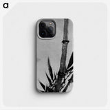 2-27_Katsushika-Hokusai_phone