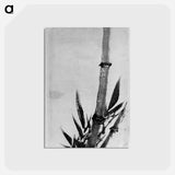 アートポストカード-Bamboo - 葛飾 北斎 Postcard.