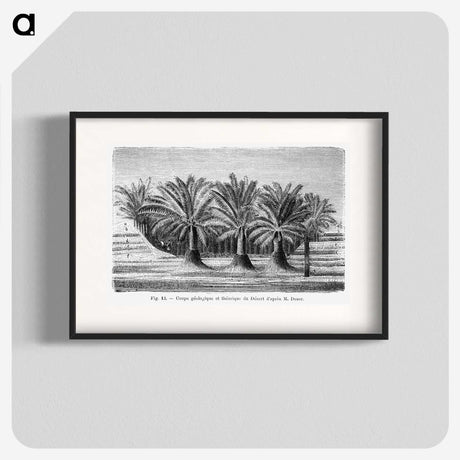 2-27_Les-Palmiers-Histoire-Iconographique_blk