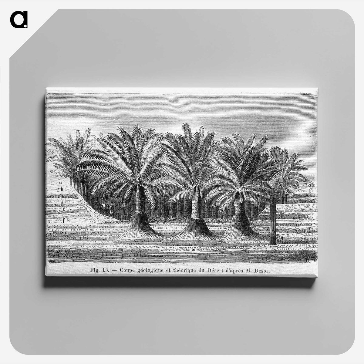 2-27_Les-Palmiers-Histoire-Iconographique_canvas